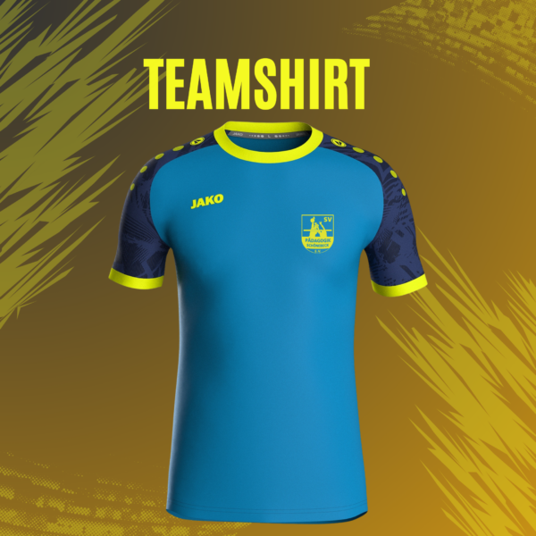Teamshirt new